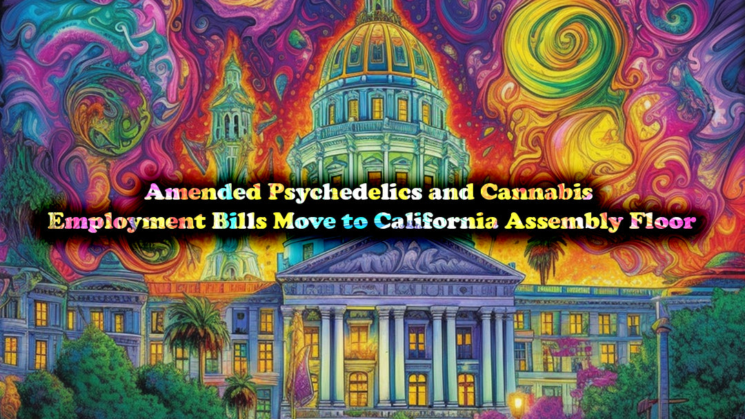 Amended Psychedelics and Cannabis Employment Bills Move to California Assembly Floor
