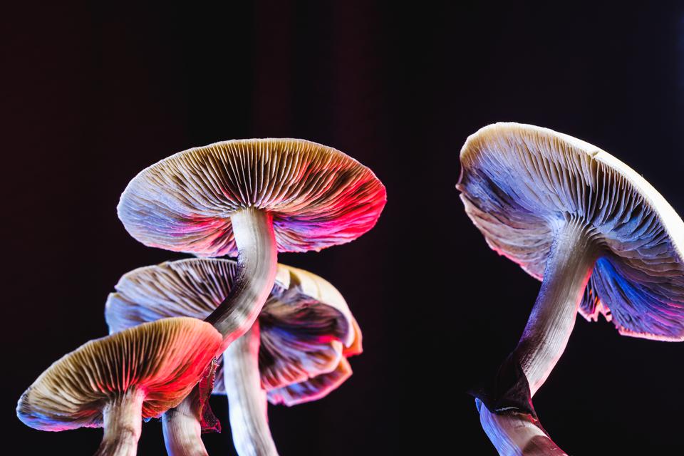 Why Canada Could Be Next To Allow Psychedelic Therapy (And How It’s Already Changing Lives)