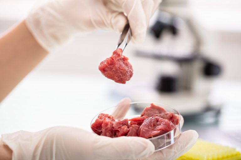 Lab-Meat to Hit U.S. Grocery Shelves by 2022, After Quiet Approval by FDA and USDA