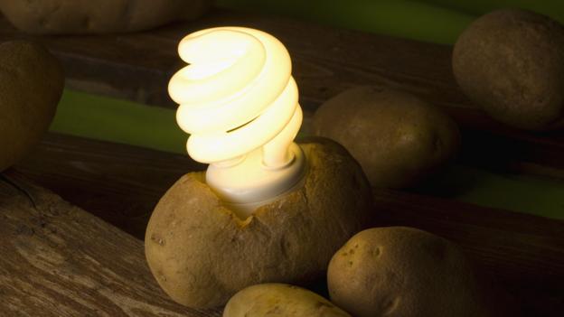 Potato “Batteries” Can Light a Room For 40 Days for a 50th of the Cost of Normal Batteries