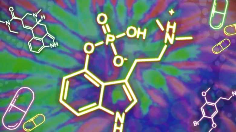 Psychedelic-occasioned mystical experiences linked to increased pro-environmental behaviors