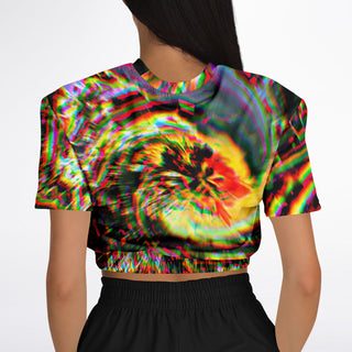 Dragon Peak | Fashion Cropped Sweatshirt | Makroverset