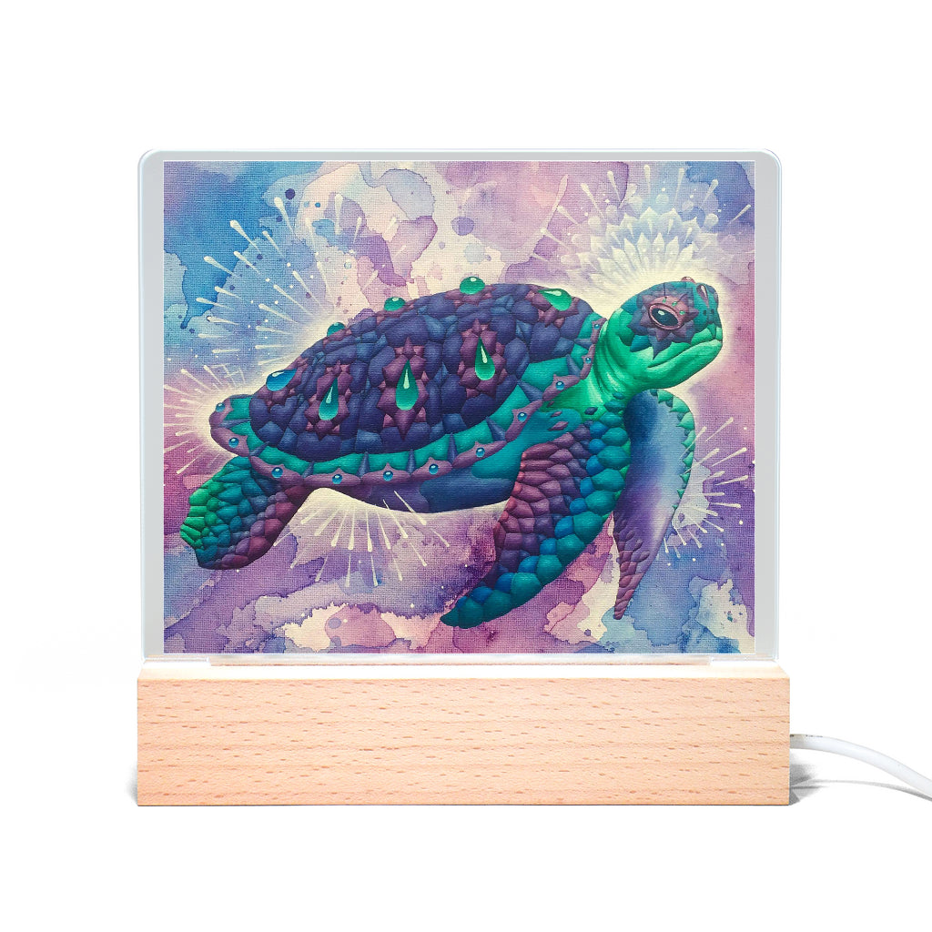 Adventures of Space Turtle Light Up Acrylic Sign | Dylan Thomas Brooks
