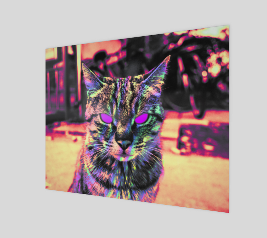 Serious Cat | 20x16 Poster | Hubert Solczynski
