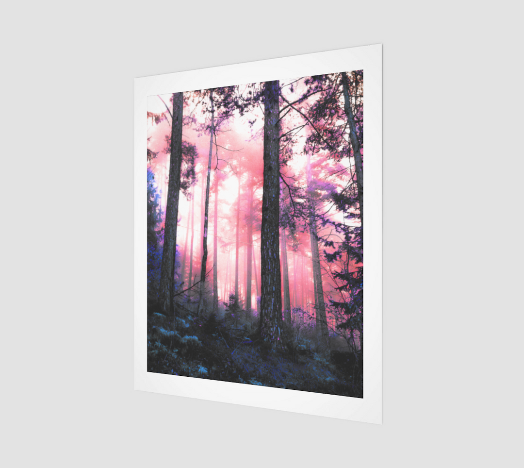 Pink Forest | 16x20 Art Print | Hubert Solczynski