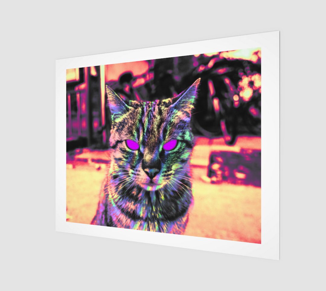 Serious Cat | 20x16 Art Print | Hubert Solczynski