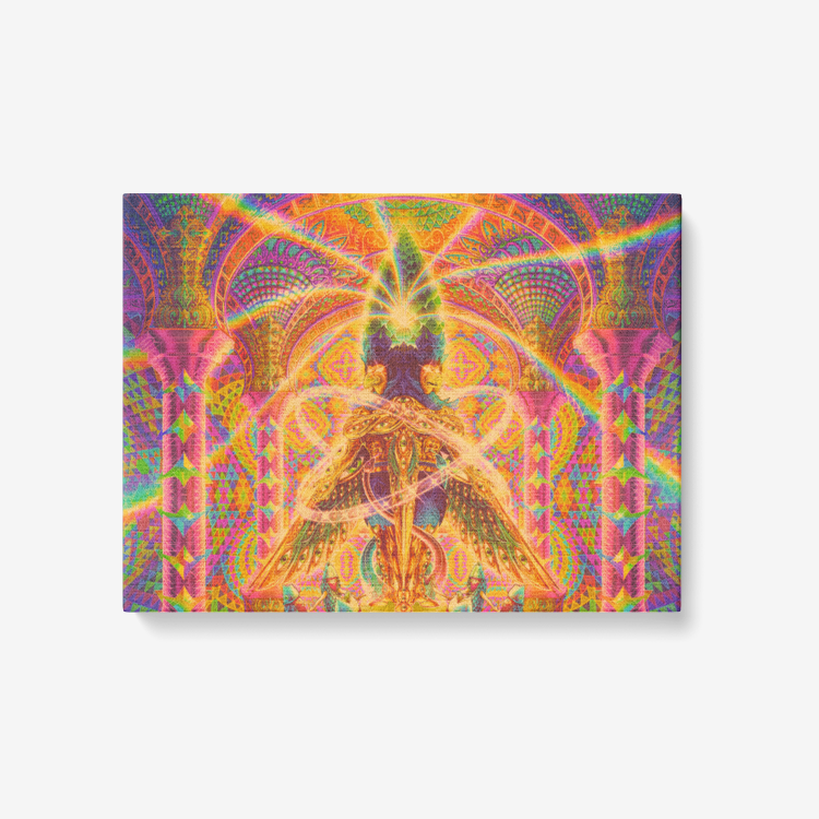 DEATH BY ASTONISHMENT 1 Piece Canvas Wall Art for Living Room - Framed Ready to Hang 24"x18" | SALVIA DROID