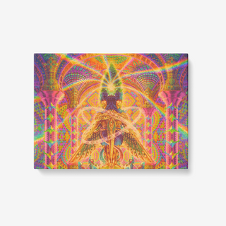 DEATH BY ASTONISHMENT 1 Piece Canvas Wall Art for Living Room - Framed Ready to Hang 24"x18" | SALVIA DROID