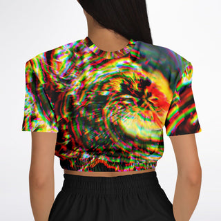 Dragon Peak | Athletic Cropped Sweatshirt | Makroverset