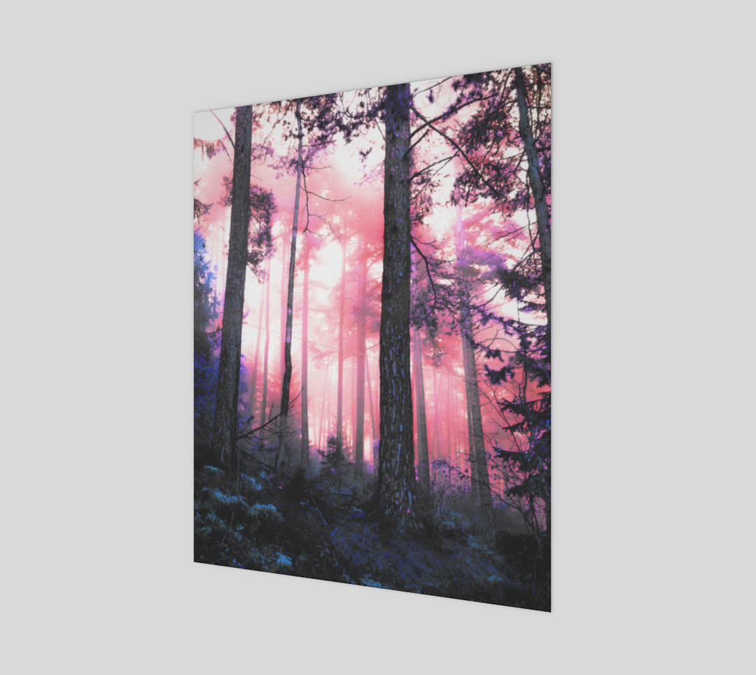 Pink Forest | 16x20 Poster | Hubert Solczynski