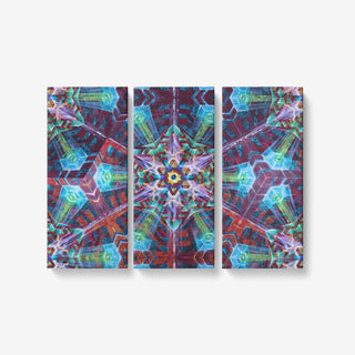 Mike Cole- DIMITRI 3 Piece Canvas  Framed Ready to Hang 3x8"x18"