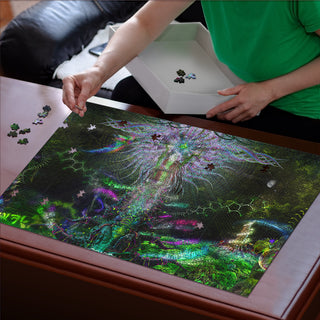 Reconnection | Puzzle | Hakan Hisim